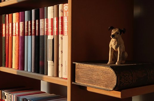 meuble livre